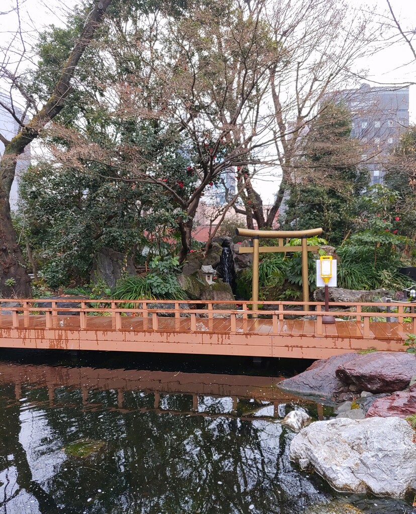 [渡]神橋