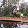 [渡]神橋