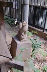 [神使]狐