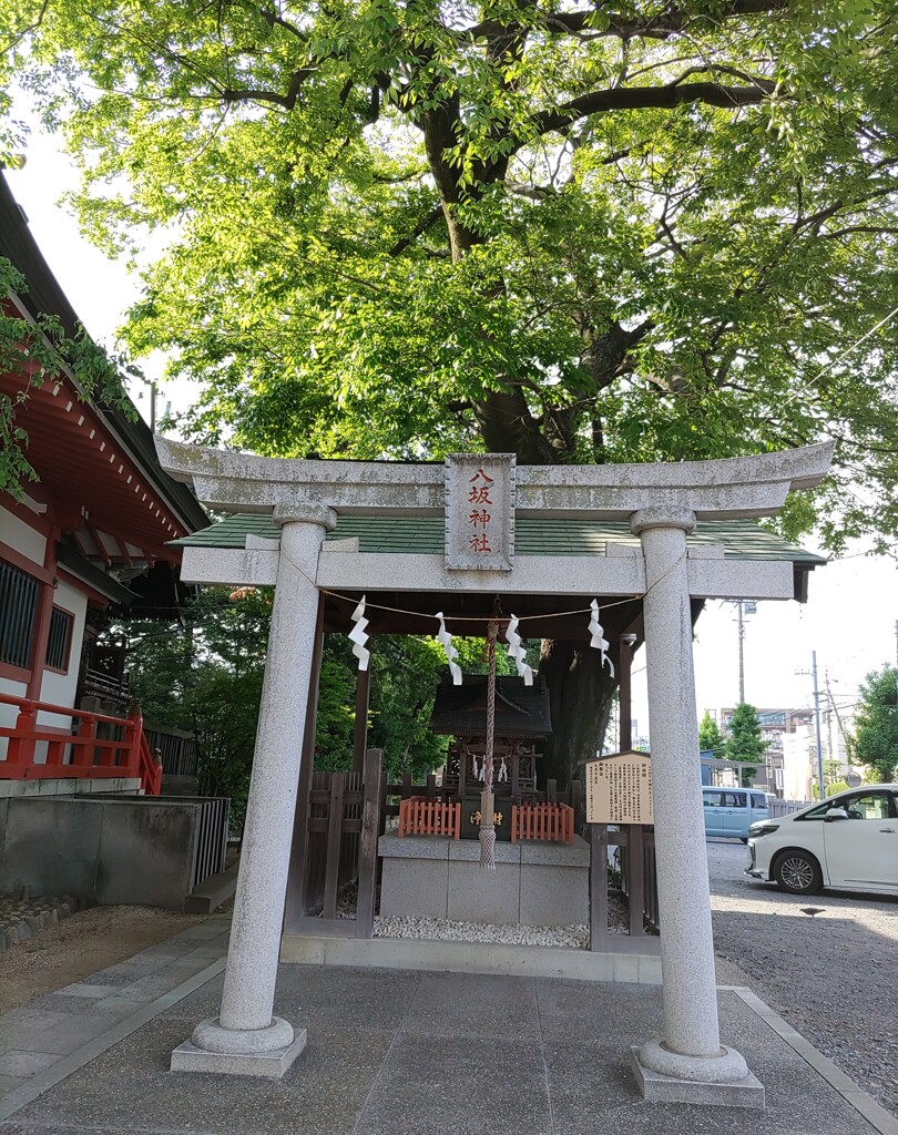 [八坂神社]