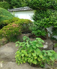 [手水鉢]
