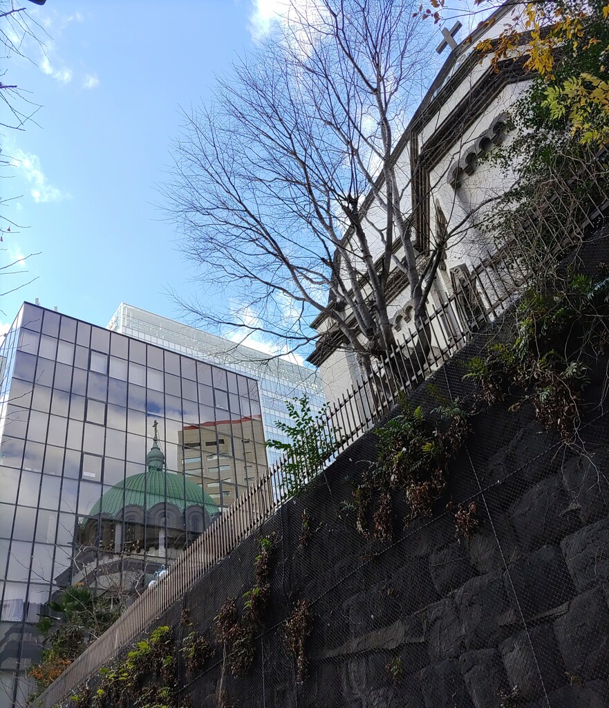 [東京復活大聖堂]