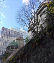 [東京復活大聖堂]