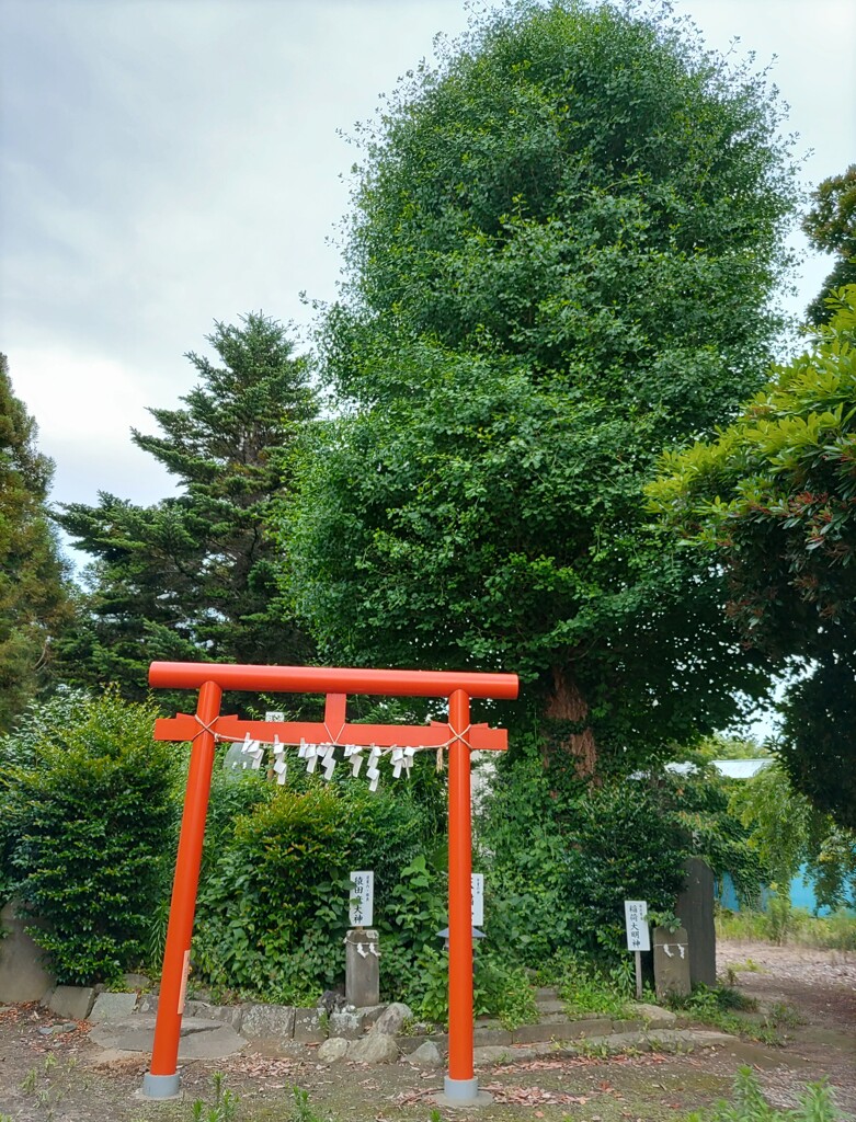 [富士塚]