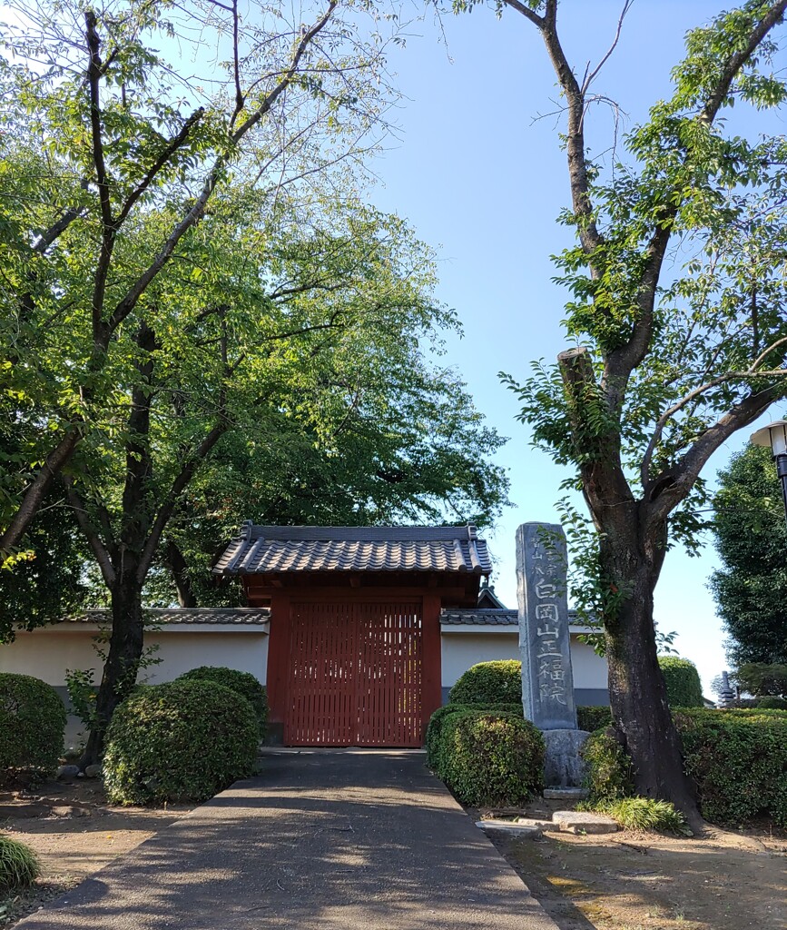 【建】通