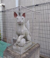 [狐神使]