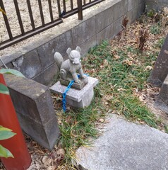 [神使]狐