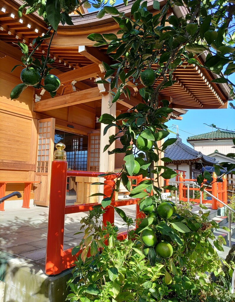 [稲荷神社]