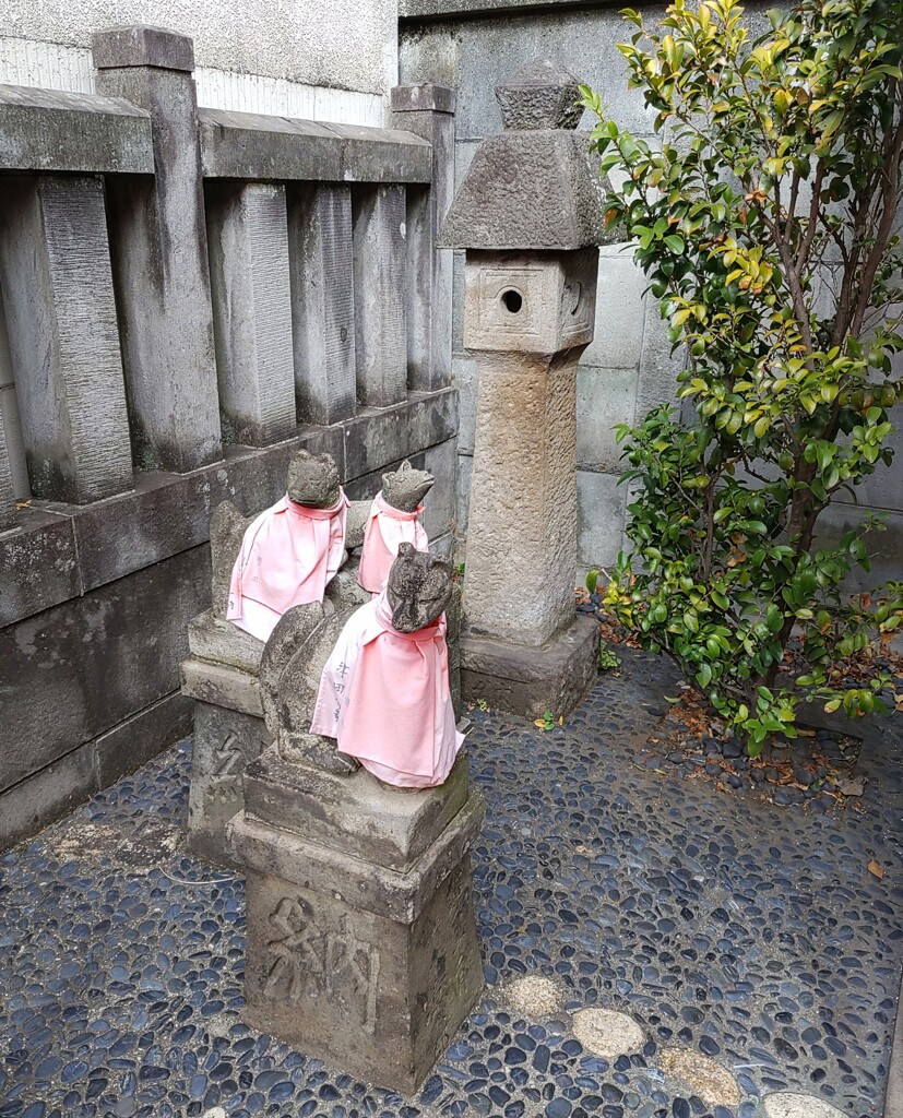 [神社]狐