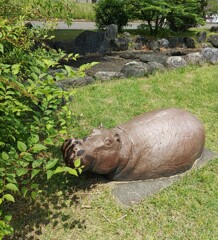 【ｵｳﾞｼﾞｪ】河馬