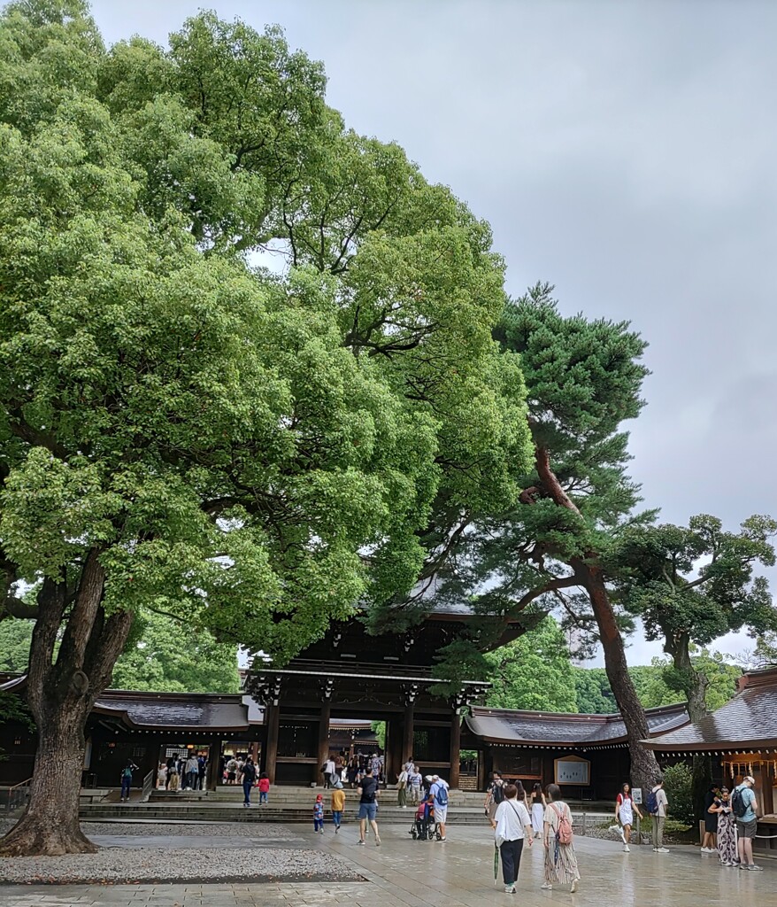 [通]神門