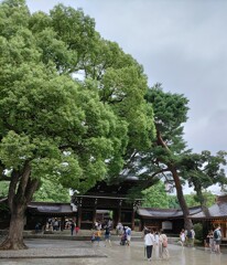 [通]神門