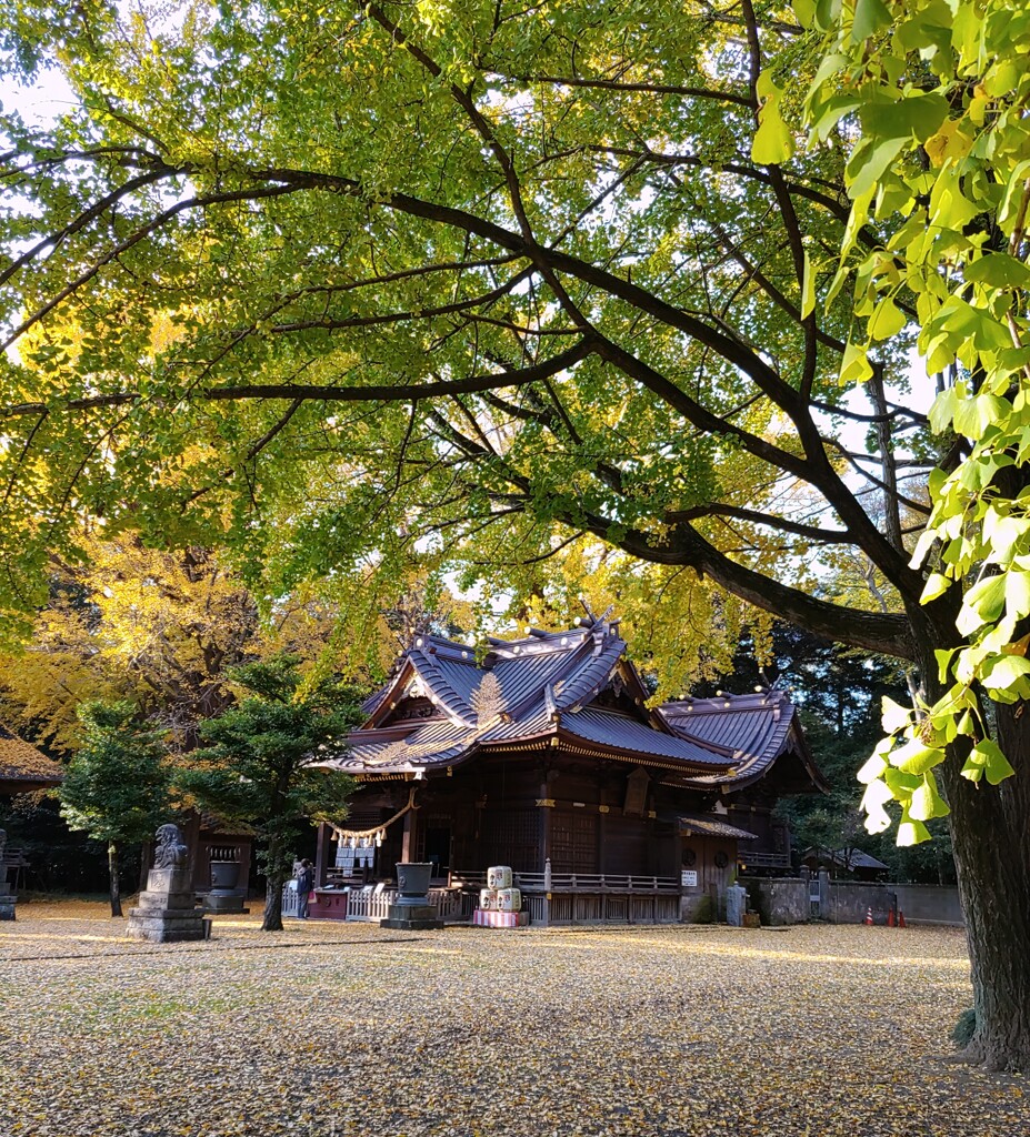 [神社]玉敷