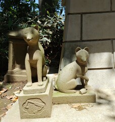 [神使]狐