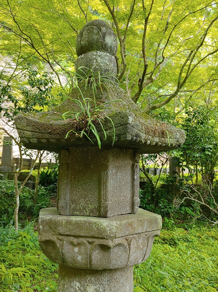 [灯籠]