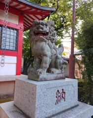 [狛犬]右