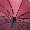 《傘》