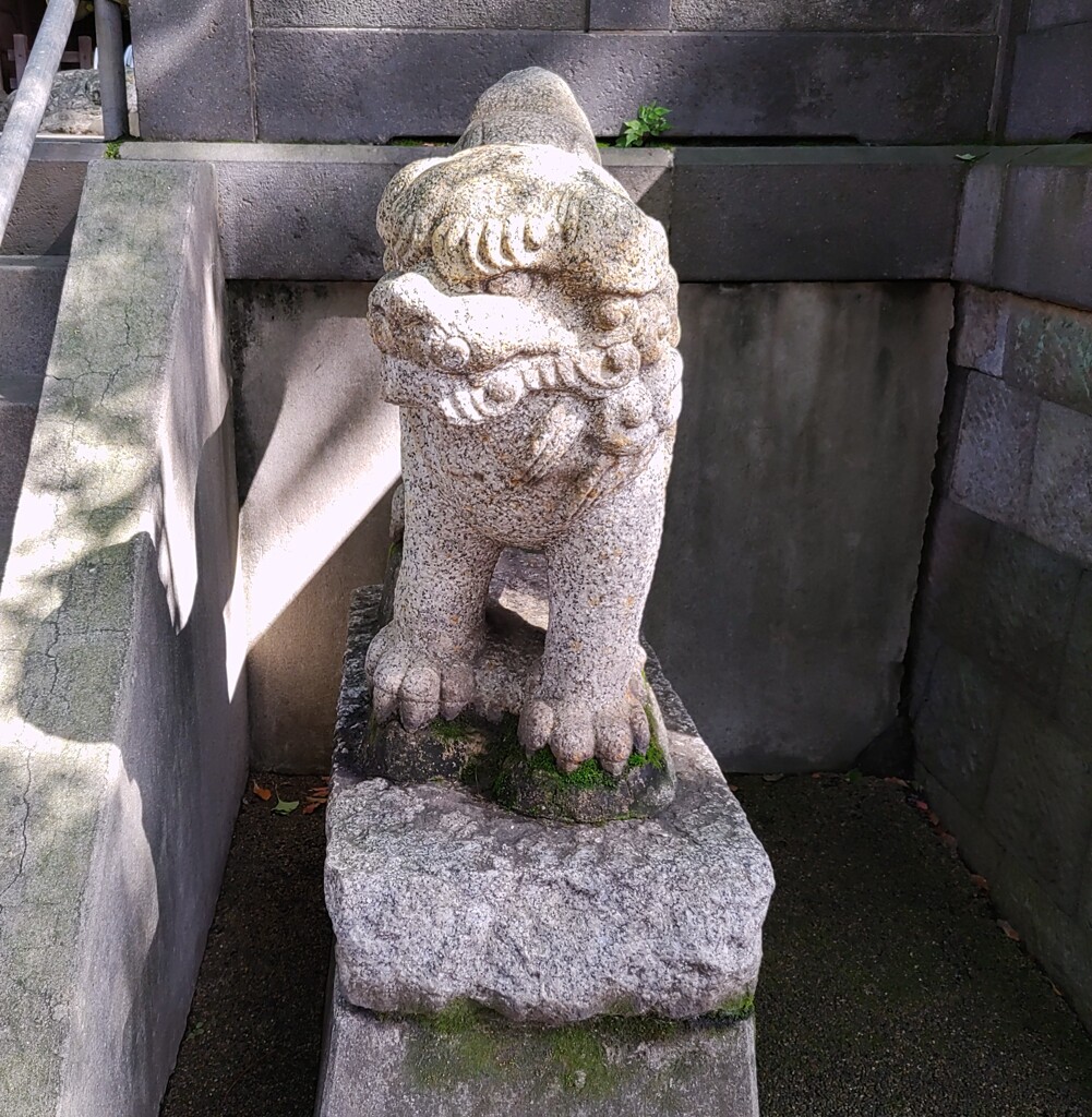 [狛犬]右