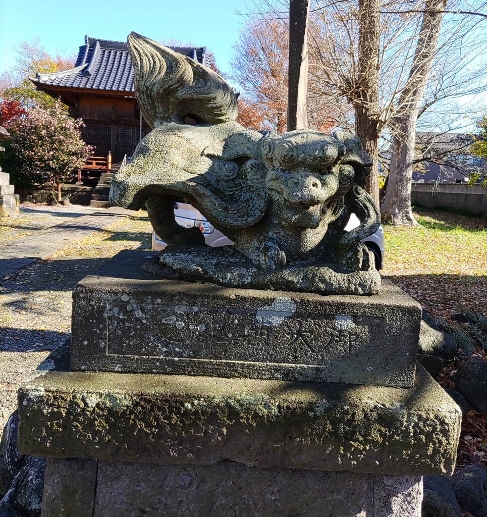 [狛犬]右
