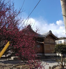 [神社]生出塚