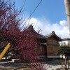 [神社]生出塚