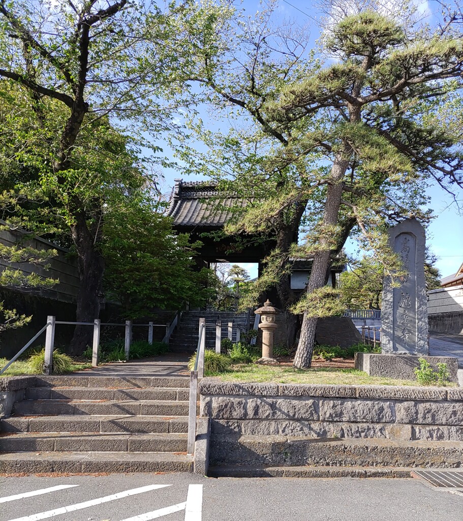 【建】通