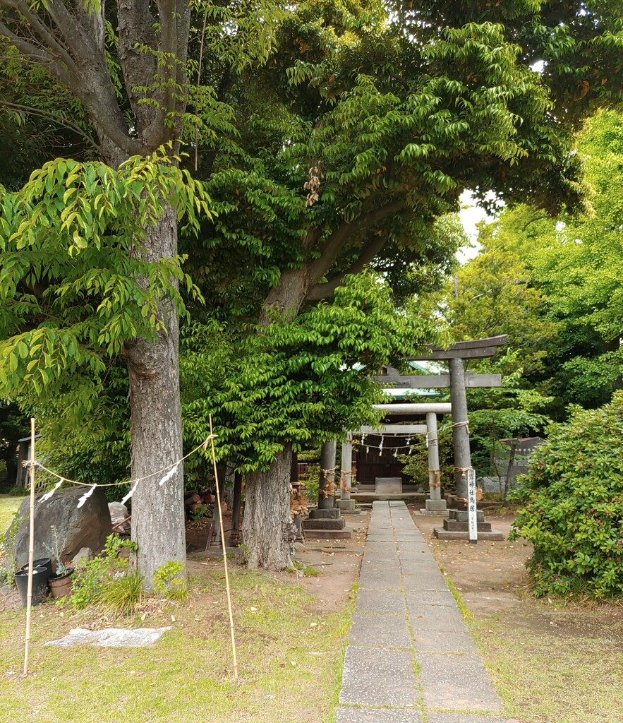 [神社]三峰