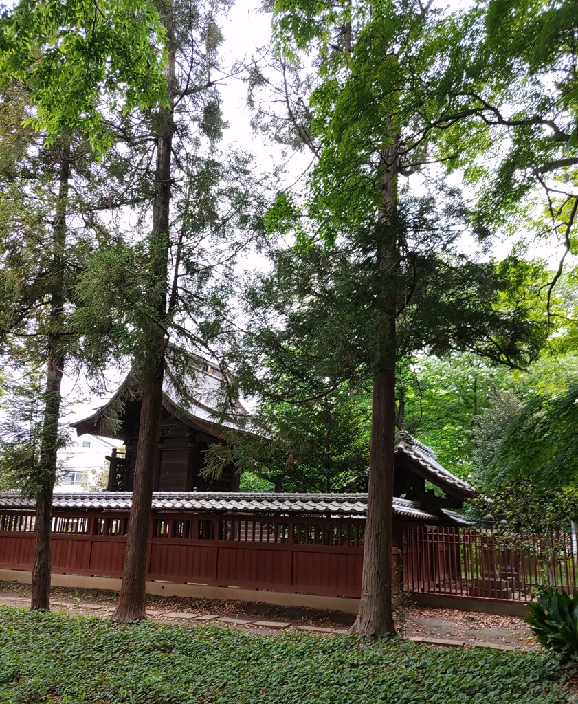 [神社]氷川