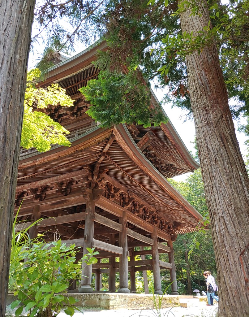 [通]寺門