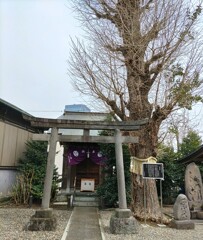 [宮比神社]