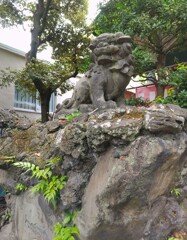 [狛犬]左