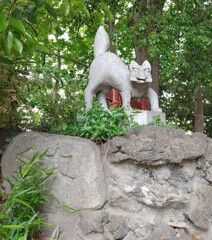 [神使]狐