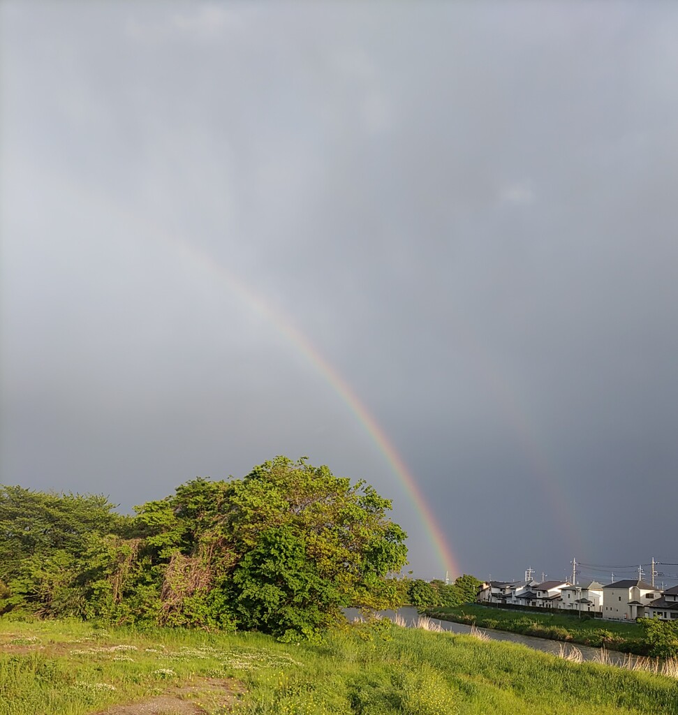 『空』虹