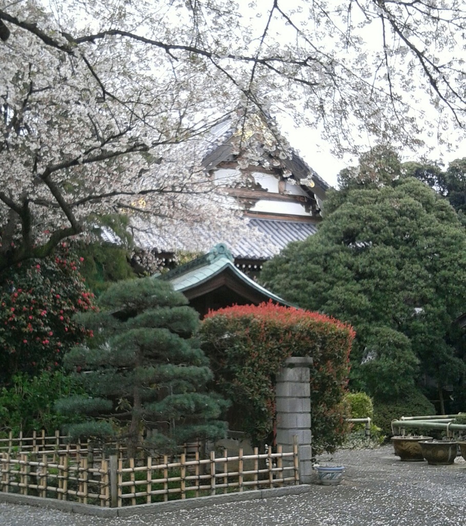 『地蔵院』