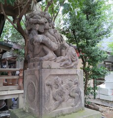 [狛犬]右