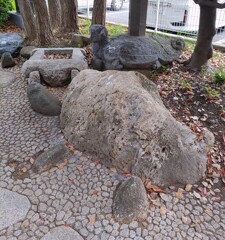 [亀ヶ井跡]