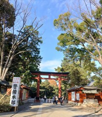 [氷川神社]