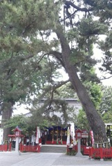 『鴻神社』