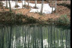 松之山の池（1999年以前）