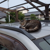 何か？
