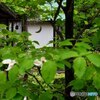 三日月亭