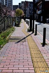 よれる