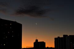 夜明けの月
