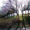 公園にて逆光