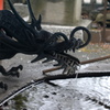 カメラ散歩