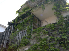 カメラ散歩