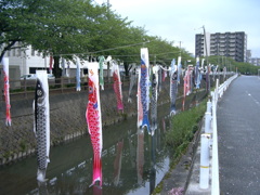カメラ散歩