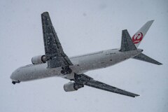 HAKODATE 12.01