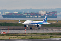 ANA 5.31