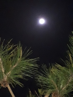 20190420_000508